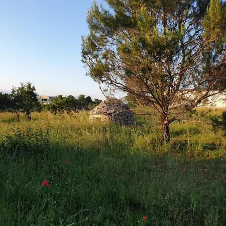 Istra Divsici